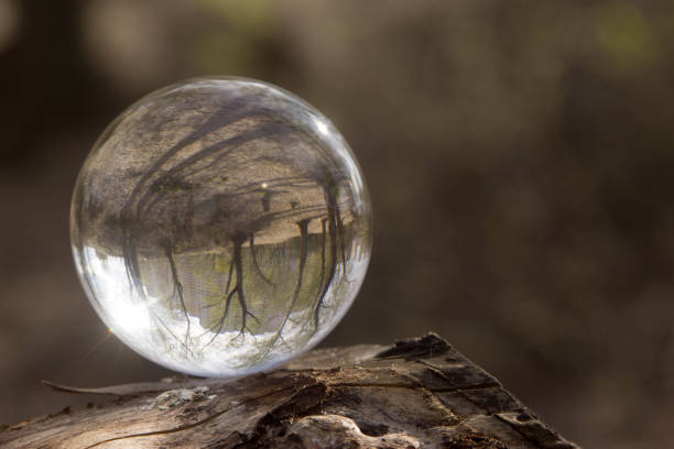 istock Nature in a glass bowl 1147757591