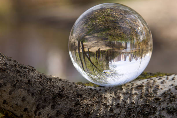 istock Nature in a glass bowl 1147757602