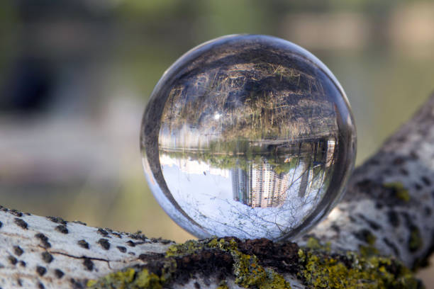 istock Nature in a glass bowl 1147757636