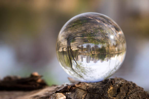 istock Nature in a glass bowl 1147757653