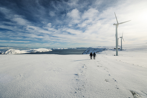 Wind power sustainable resource in the Arctic