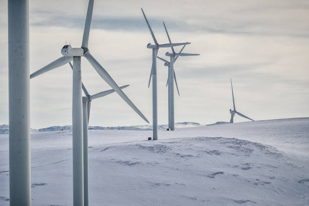 istock Wind power sustainable resource in the Arctic 1147760743