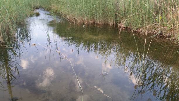 istock The beautiful natural River in Cyprus 1147760859