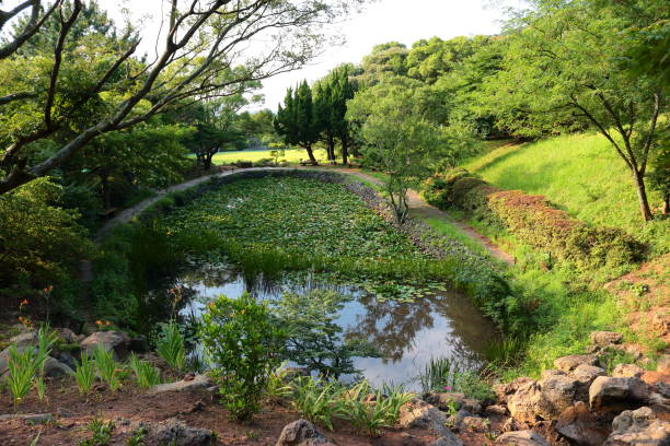 La Arboretum, parks, forests, forest,