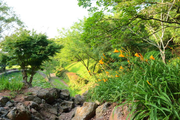istock La Arboretum, parks, forests, forest, 1147761476