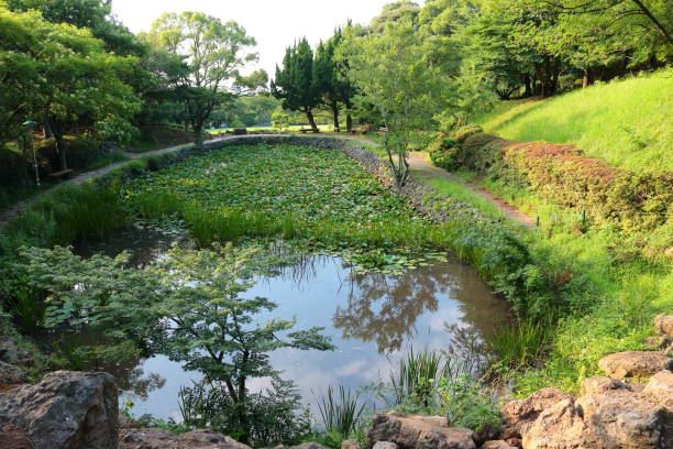 istock La Arboretum, parks, forests, forest, 1147761555