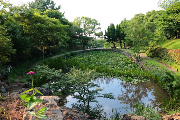 istock La Arboretum, parks, forests, forest, 1147761759