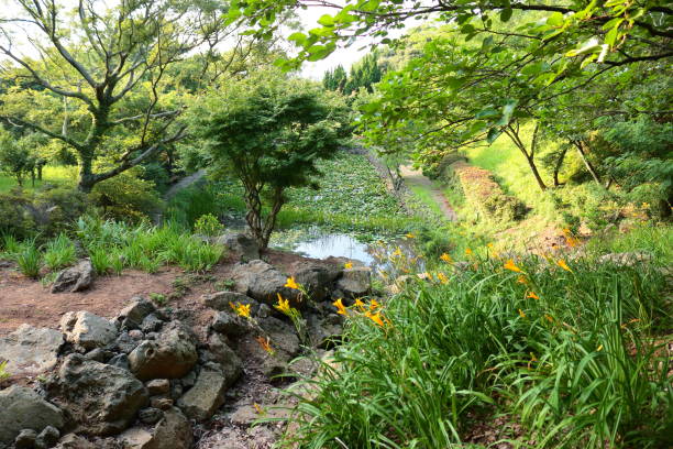 istock La Arboretum, parks, forests, forest, 1147762354