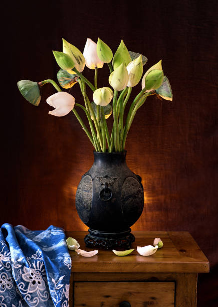 White lotus flower and antique vase, still life, stock photo White lotus flower and antique vase, still life, stock photo white lotus stock pictures, royalty-free photos & images