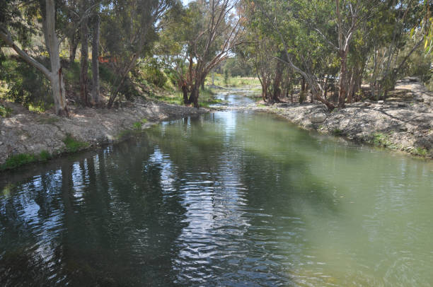 istock The beautiful natural River in Cyprus 1147762850