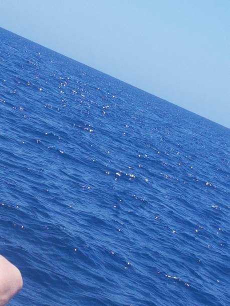 istock Documentation image of the Blues sea water las Palmas 1147763972