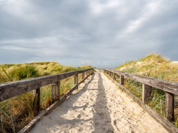 istock Beach path with bridge at the North Sea 1147764425