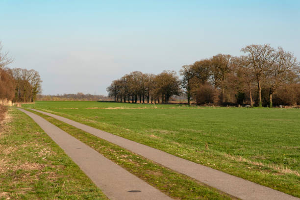 istock Paved pathway in sunny countryside in early spring. 1147765629