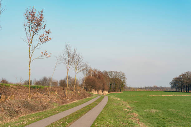 istock Paved pathway in sunny countryside in early spring. 1147765641