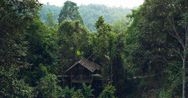 istock Wooden hut in the forest 1147768334