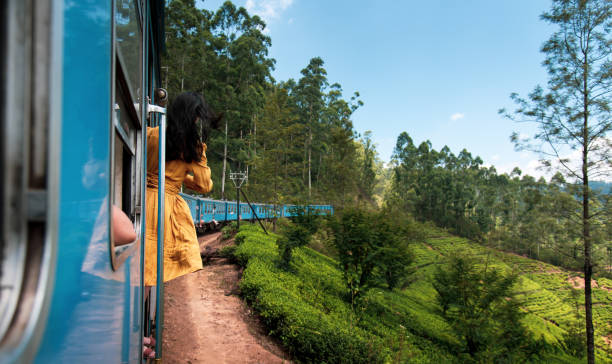 mujer tomando el viaje en tren en sri lanka plantaciones de té - lanka fotografías e imágenes de stock