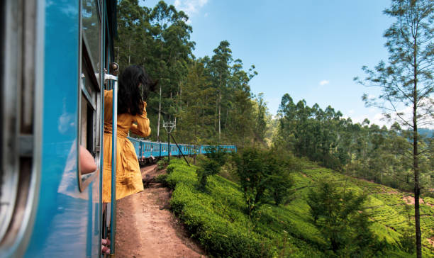 femme prenant le trajet en train dans les plantations de thé du sri lanka - lanka photos et images de collection