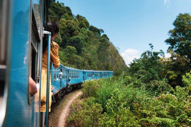mujer tomando el viaje en tren en sri lanka plantaciones de té - railroad track train journey rural scene fotografías e imágenes de stock
