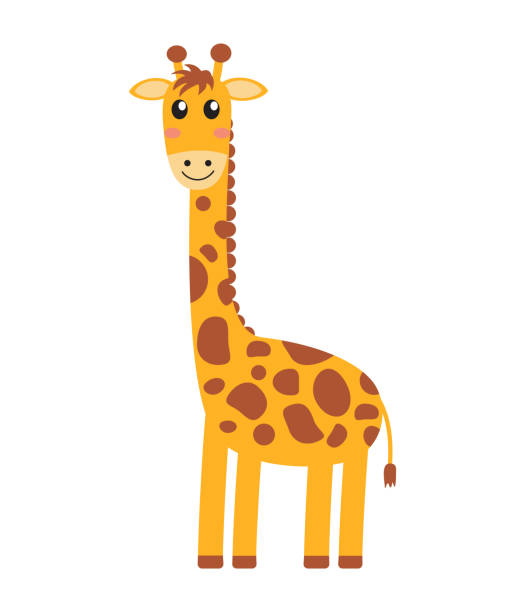 ilustraciones, imágenes clip art, dibujos animados e iconos de stock de ilustración vectorial de dibujos animados de jirafa lindos sobre fondo blanco - cartoon giraffe young animal africa