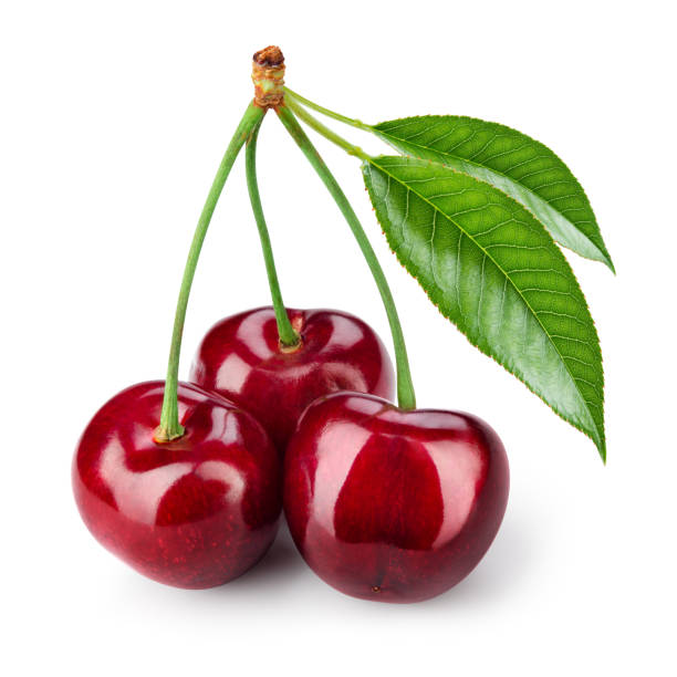 istock Cherry isolated. Cherries on white. Cherry with leaves. With clipping path. 1147769251
