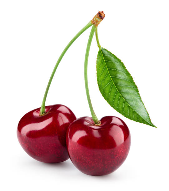 istock Cherry isolated. Cherry on white. Cherries. With clipping path. 1147769256