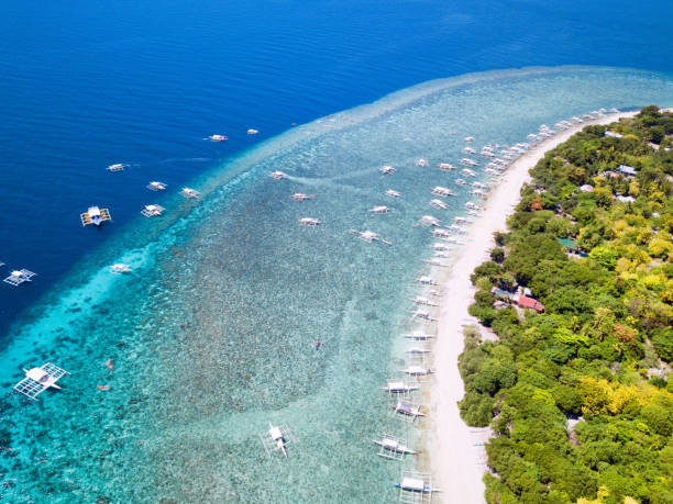 istock Balicasag Island 1147770760