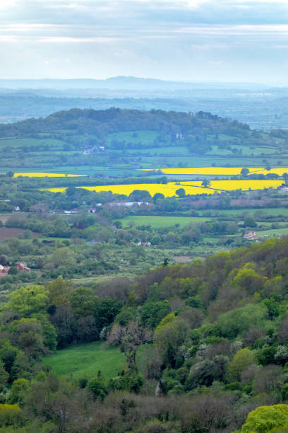 istock Dramatic view over the Cotswold Landsape showing the A417 dual carriageway heading towards Gloucester, patchwork fields of yellow oil seed, shot from Barrow Wake - A high vantage point near the village of Birdlip, high in the Cotswolds 1147772821
