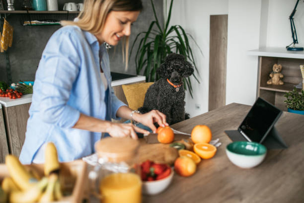 istock He also wants some healthy food 1147774627