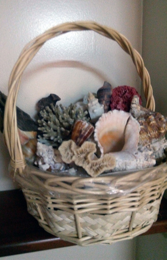 Basket of Assorted Sea Shells and corals