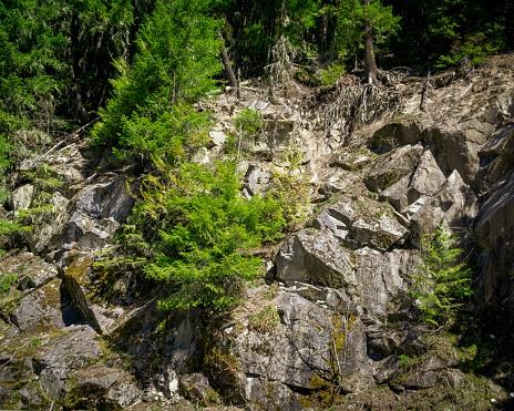 Rock feature on Chinook Pass near Mount Rainier Washington State USA