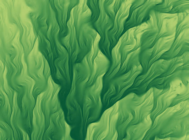 verde alghe astratte sfondo frattale arte glitch effetto foglia primo piano - fractal fern foto e immagini stock