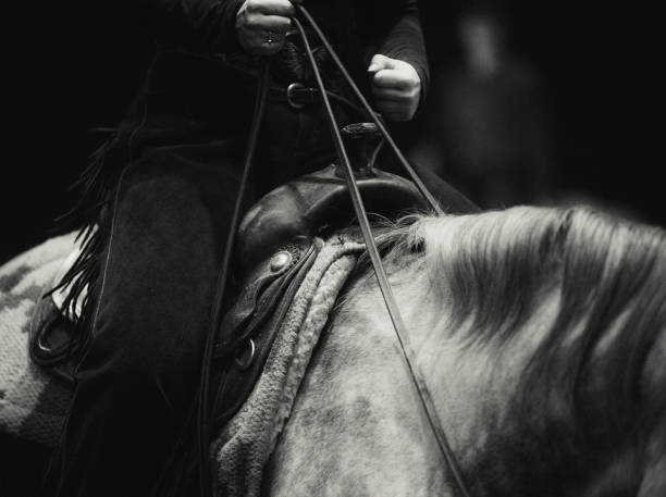istock Rider on a horse in western style 1147787016