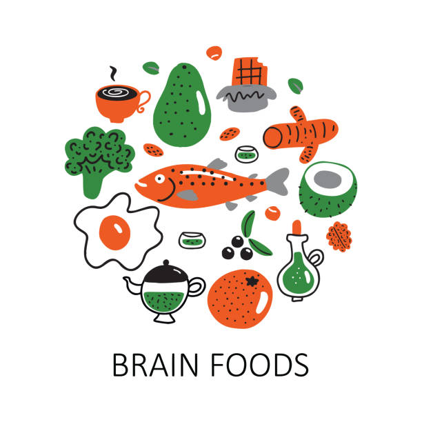 Brain foods. Vector cartoon illustration of different healthy food in circle. Brain foods. Vector cartoon illustration of different healthy food in circle ketogenic diet illustrations stock illustrations