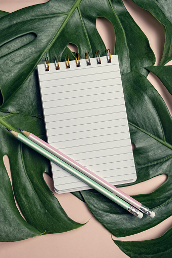 Top view of blank notepad with pen on monstera leaf and pink background, top view, vertical composition