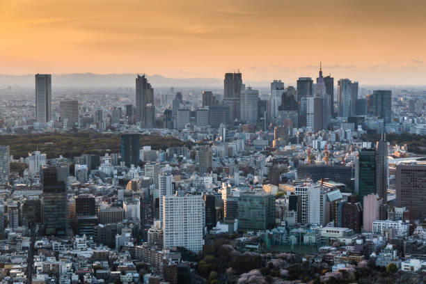 istock Tokyo Cityscape Sunset 1147788303