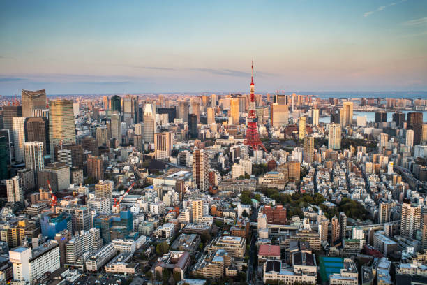 istock Tokyo, Japan Skyline 1147788315