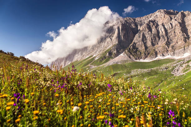 wschód słońca w górach kaukazu, lago-naki i płaskowyż fischt, adygea, rosja - mountain cliff mountain peak plateau zdjęcia i obrazy z banku zdjęć