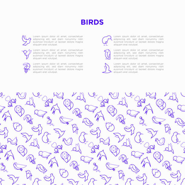 istock Birds concept with thin line icons set: dove, owl, penguin, sparrow, swallow, kiwi, parrot, eagle, humming bird, pink flamingo. Modern vector illustration, print media template. 1147788604