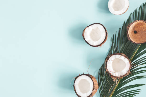 istock Summer composition. Coconut, palm leaf on pastel blue background. Summer concept. Flat lay, top view, copy space 1147788807