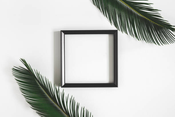 istock Summer composition. Tropical palm leaves, white photo frame on gray background. Summer, nature concept. Flat lay, top view, copy space 1147789280