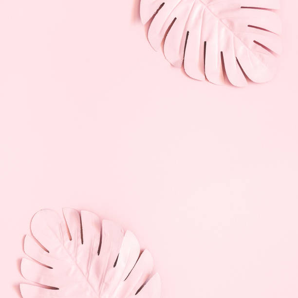 istock Summer composition. Tropical palm leaves on pink background. Summer concept. Flat lay, top view, copy space, square 1147790348