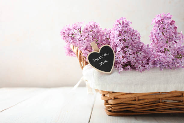 istock Branch of purple lilac 1147797689