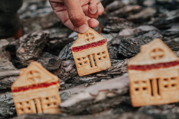 istock Biscuitshaped cookie stands on bark of  tree 1147801167