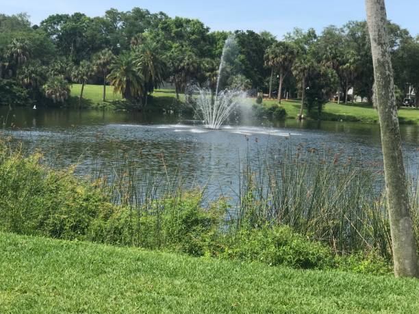istock Fountain in the Park 1147803460