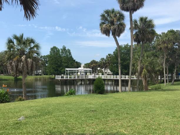 istock Pier in the Park 1147803504