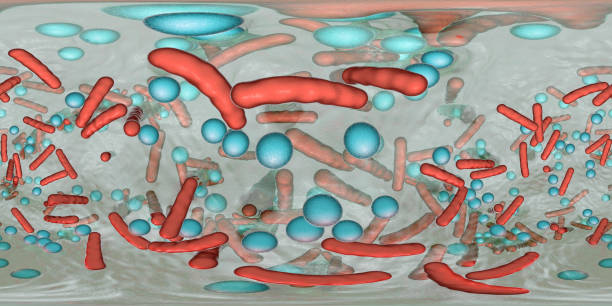 細菌のバイオフィルムの360度の球形のパノラマ - staphylococcus epidermidis ストックフォトと画像