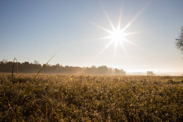 Beautiful sunny morning over field in winter