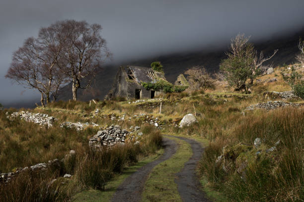 istock The Black Valley Cottage 1147809820