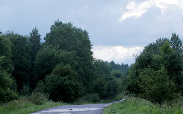 istock Road in the fog 1147810136
