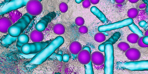 biofilm de bacterias esféricas y en forma de varilla - staphylococcus epidermidis fotografías e imágenes de stock